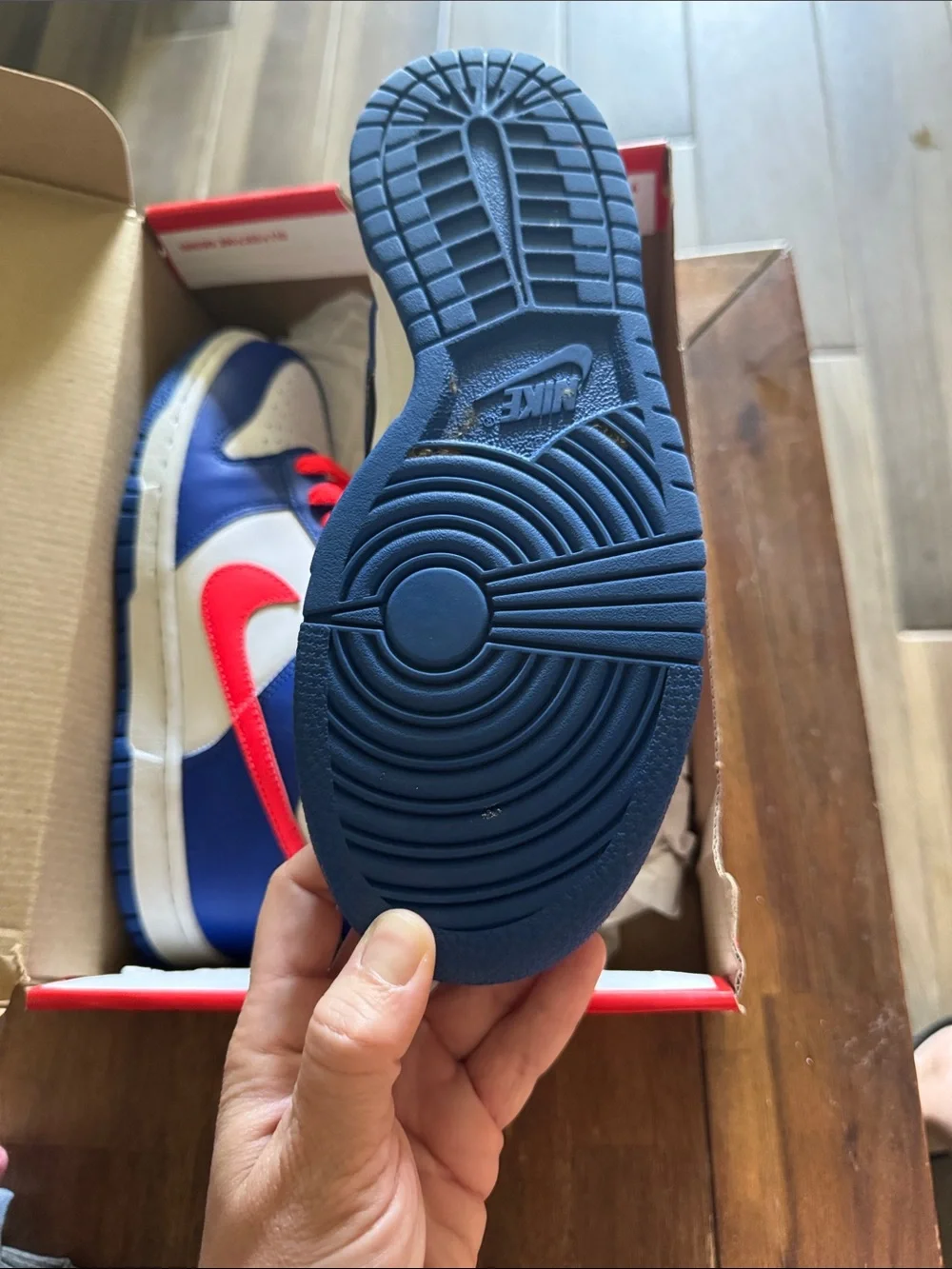Nike Dunk Low (GS) Sail Blue Red Black Low-Top Sneakers